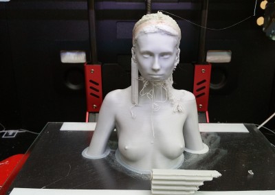 The Bearded Lady ;-) . Printed in ABS on the R2X.